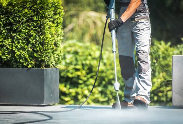 Best Fence Cleaning  in St Peter, WI
